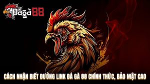 Cách nhận biết đường link Đá Gà 88 chính thức