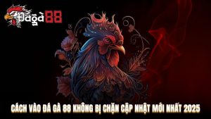 Cách vào Đá Gà 88 không bị chặn