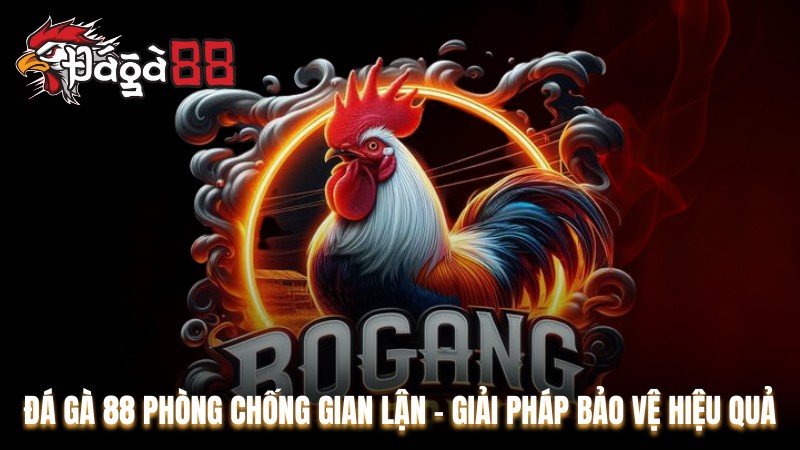 Đá Gà 88 Phòng Chống Gian Lận