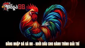 Đăng nhập Đá Gà 88