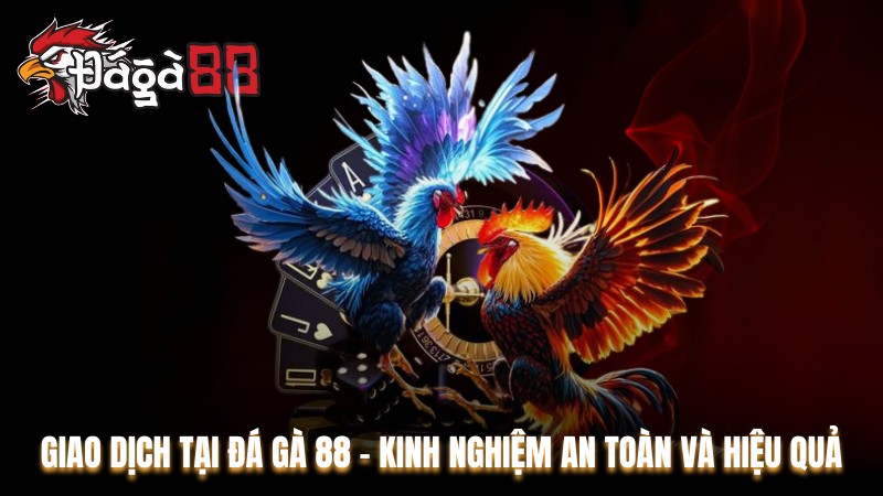 Giao Dịch Tại Đá Gà 88 - Kinh Nghiệm An Toàn Và Hiệu Quả