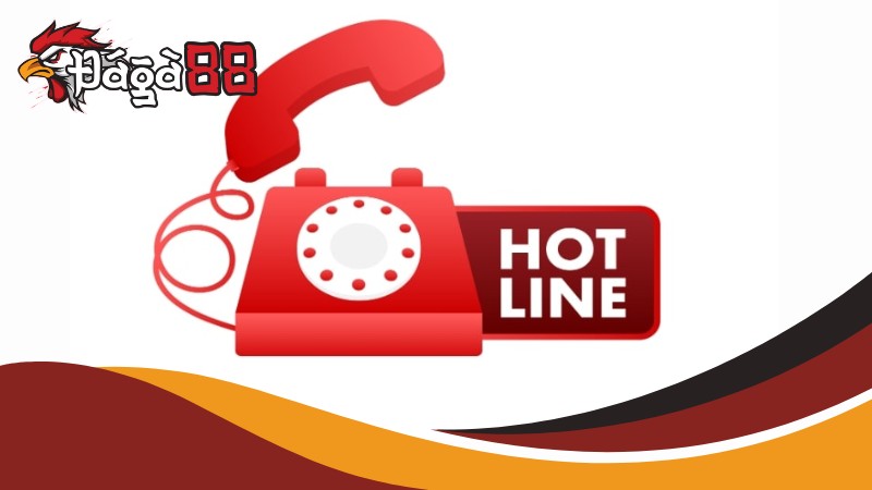 Liên hệ Đá Gà 88 qua hotline