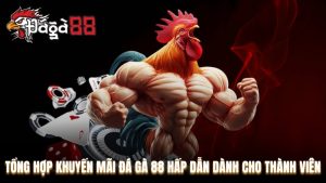 Khuyến Mãi Đá Gà 88